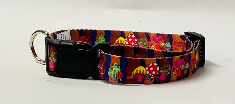 Shroomy Dog Collar, Leash &/or Keychain