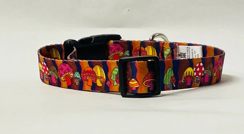 Shroomy Dog Collar, Leash &/or Keychain